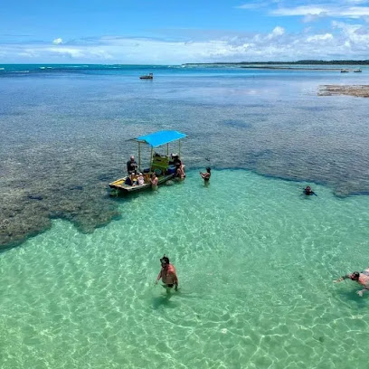 Alagoas - Dados ONG na Olho DÁgua do Casado,AL,BRAZIL