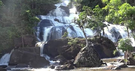 Ibirajá - Dados ONG na Ibirajá (Itanhém),BA,BRAZIL