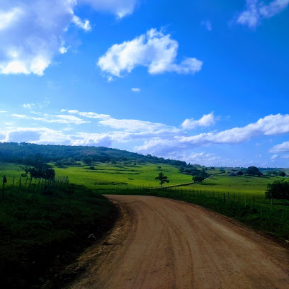 Sitio do Meio - Dados ONG na Sítio do Meio (Castro Alves),BA,BRAZIL