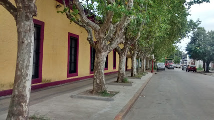 Hogary Cntri De Luz Del Alma - Centro de acogida para personas sin hogar: ONG en Moreno,Buenos Aires,ARGENTINA