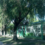 Hogar de Ancianos Municipal – Residencia geriátrica: ONG en Marcos Paz,Buenos Aires,ARGENTINA