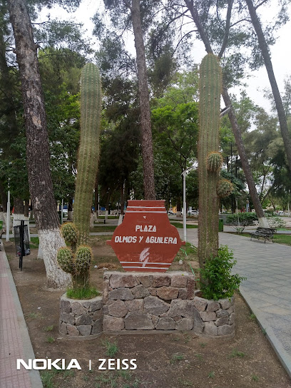 Plaza Olmos y Aguilera - Parque: ONG en Belén,Catamarca,ARGENTINA