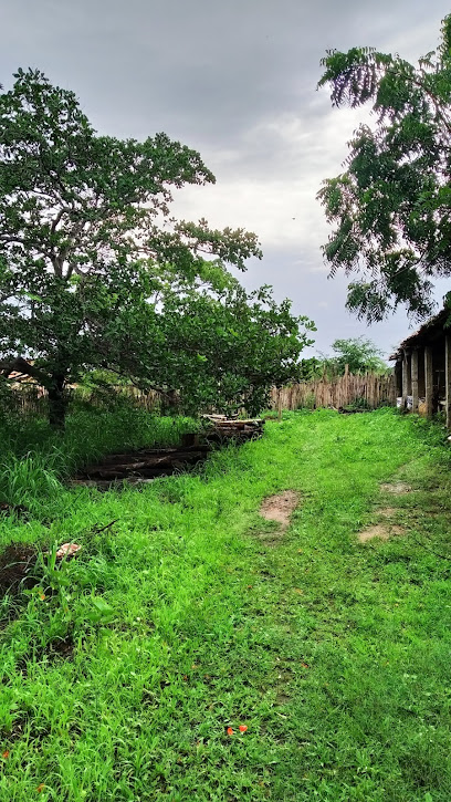 Aruaru - Dados ONG na Aruaru (Morada Nova),CE,BRAZIL