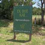 Ek Ong Kar – Huerto: ONG en Emilio Ayarza,Buenos Aires,ARGENTINA