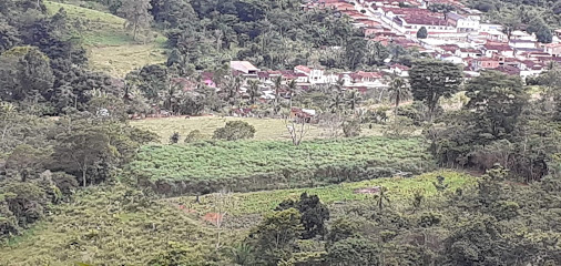 Florestal - Dados ONG na Florestal (Jequié),BA,BRAZIL