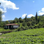 Cabaña La Escondida – Casa rural: ONG en Las Juntas,Catamarca,ARGENTINA