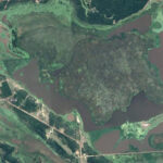 Estero Laguna Limpia – Humedal: ONG en Laguna Limpia,Chaco,ARGENTINA