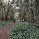 Bosque Encantado – Parque: ONG en General Belgrano,Buenos Aires,ARGENTINA