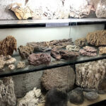 Museo Mineralogico de Antofagasta de la Sierra – Museo: ONG en Antofagasta de la Sierra,Catamarca,ARGENTINA