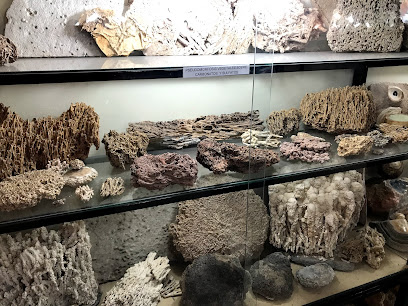 Museo Mineralogico de Antofagasta de la Sierra - Museo: ONG en Antofagasta de la Sierra,Catamarca,ARGENTINA