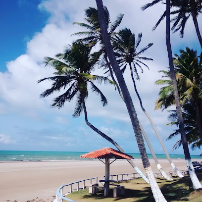 Baleia - Dados ONG na Baleia (Itapipoca),CE,BRAZIL