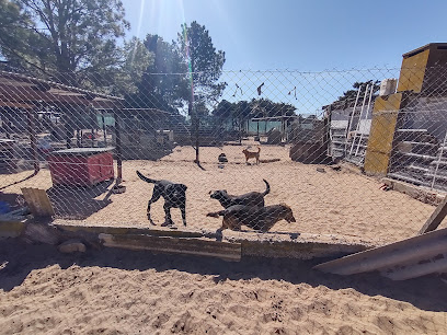 APAADE - Refugio para animales: ONG en Villa Gesell,Buenos Aires,ARGENTINA
