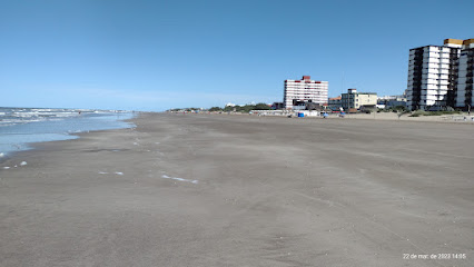 Playa en Mar de Ajó - Playa pública: ONG en Mar de Ajó - San Bernardo,Buenos Aires,ARGENTINA
