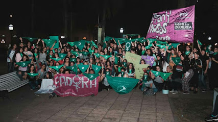 Diverfem Zarate - Organización no gubernamental: ONG en Campana,Buenos Aires,ARGENTINA