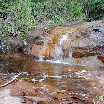 Varzedo - Dados ONG na Varzedo,BA,BRAZIL