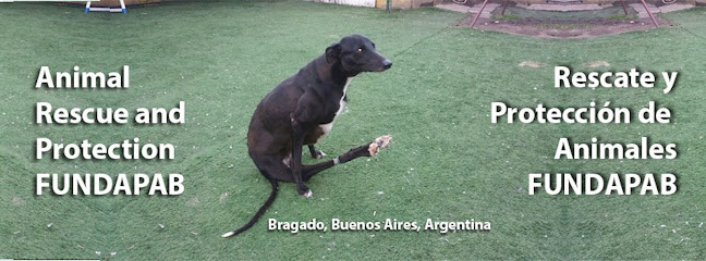 Refugio de animales - Fundación Fundapab - Refugio para animales: ONG en Bragado,Buenos Aires,ARGENTINA
