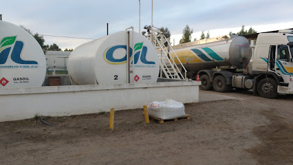Petro Villalonga - Gasolinera: ONG en Villalonga,Buenos Aires,ARGENTINA