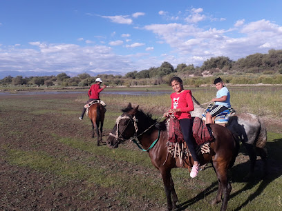 Cabalgando Senderos, Los Nacimientos - Camping: ONG en Medanitos,Catamarca,ARGENTINA