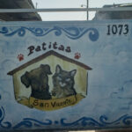 Patitas San Vicente – Refugio para animales: ONG en San Vicente,Buenos Aires,ARGENTINA