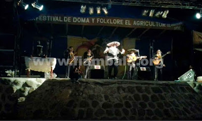 Festival el Agricultor &apos;Doma y Folclore&apos; - Festival: ONG en Medanitos,Catamarca,ARGENTINA