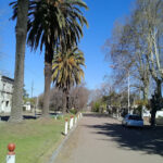 ERNESTINA, Buenos Aires – Ayuntamiento: ONG en Ernestina,Buenos Aires,ARGENTINA