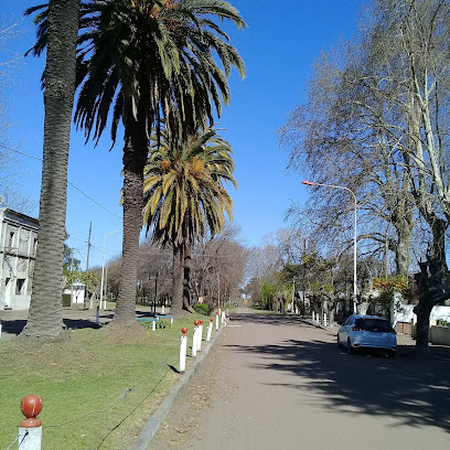 ERNESTINA, Buenos Aires - Ayuntamiento: ONG en Ernestina,Buenos Aires,ARGENTINA
