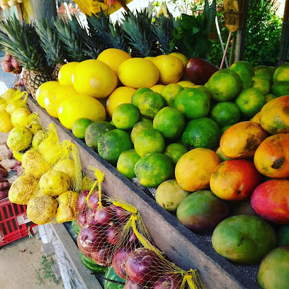 Araças - Dados ONG na Araçás,BA,BRAZIL