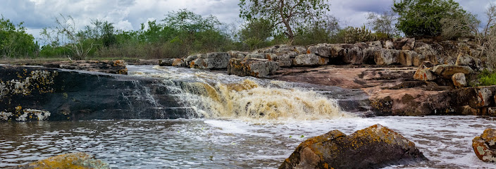 Riachão do Jacuípe - Dados ONG na Riachão do Jacuípe,BA,BRAZIL