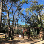 Bosque Villa Gesell – Lugar de interés histórico: ONG en Villa Gesell,Buenos Aires,ARGENTINA